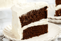 Velvet Chocolate Cake with Whipped Cream