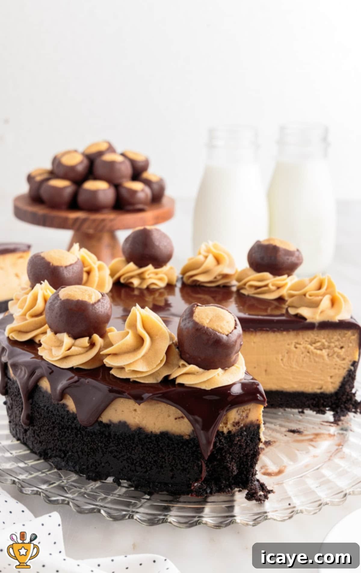 A large Buckeye Cheesecake on a serving platter with one slice elegantly removed, revealing the creamy peanut butter cheesecake layer, the dark Oreo crust, and the smooth chocolate ganache topping. The remaining cake is decorated with piped peanut butter frosting and buckeye balls, all set on a light, inviting background.