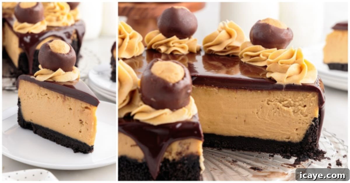 A pristine slice of Buckeye Cheesecake presented on a white plate, showcasing its distinct layers and rich texture, with the full, decorated cake slightly blurred in the background on a serving platter.