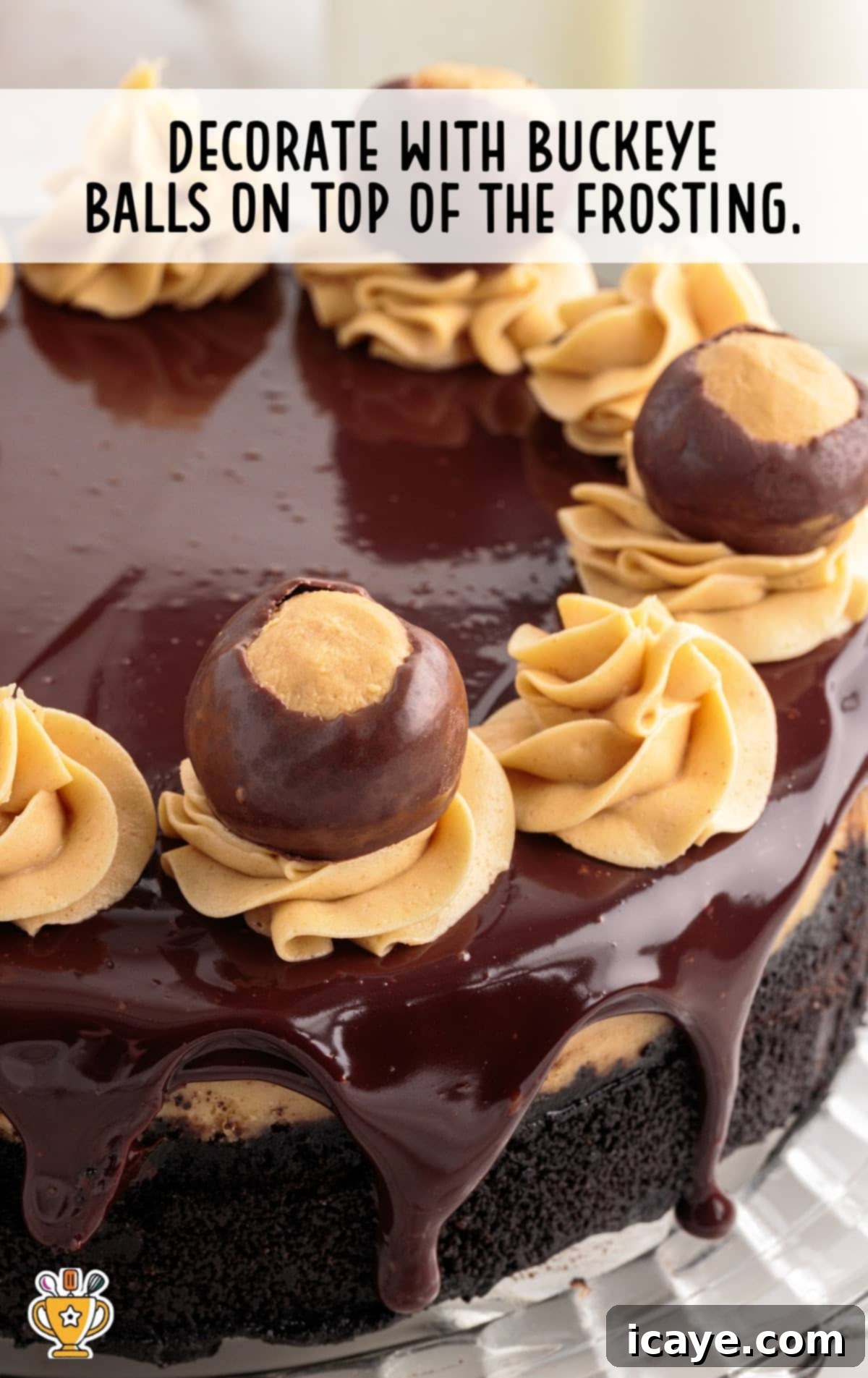The fully decorated Buckeye Cheesecake, adorned with peanut butter frosting swirls and perfectly placed buckeye balls on top, showcasing a complete and inviting dessert ready for serving.